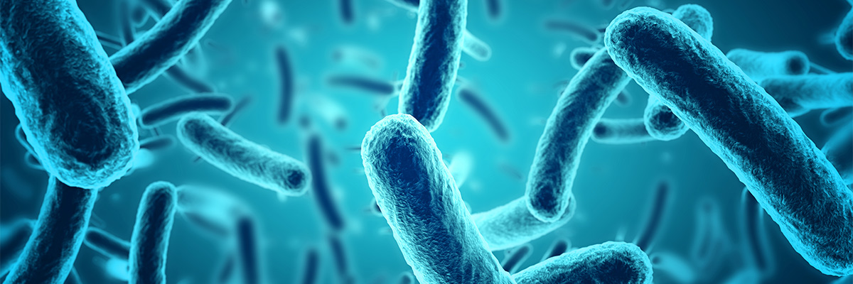 microbioma-intestinal-influencia-bacterias-nutrigenik